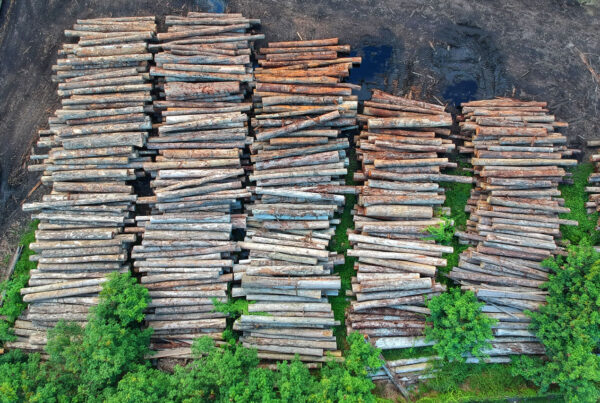 logs stacked for processing and pulp and paper mill
