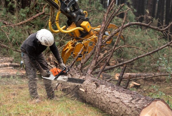 man with a chainsaw in logging industry