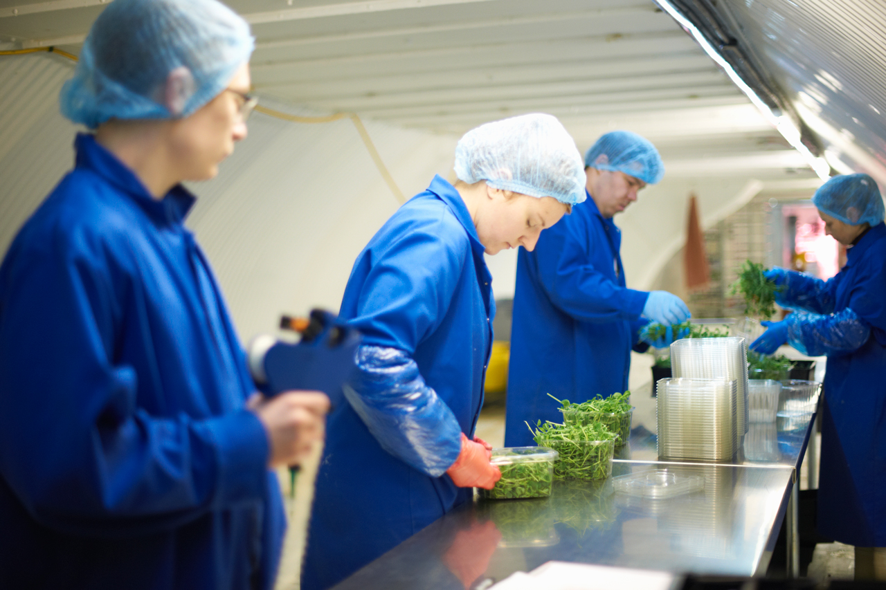 Solving the Three Biggest Mechanical Bottlenecks in Food-and-Beverage Plants